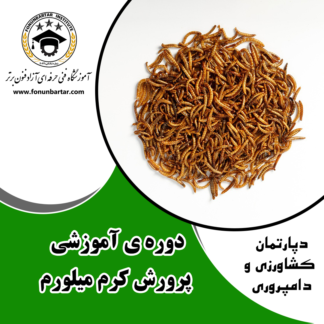پرورش کرم میل ورم + Cultivation of inflammation